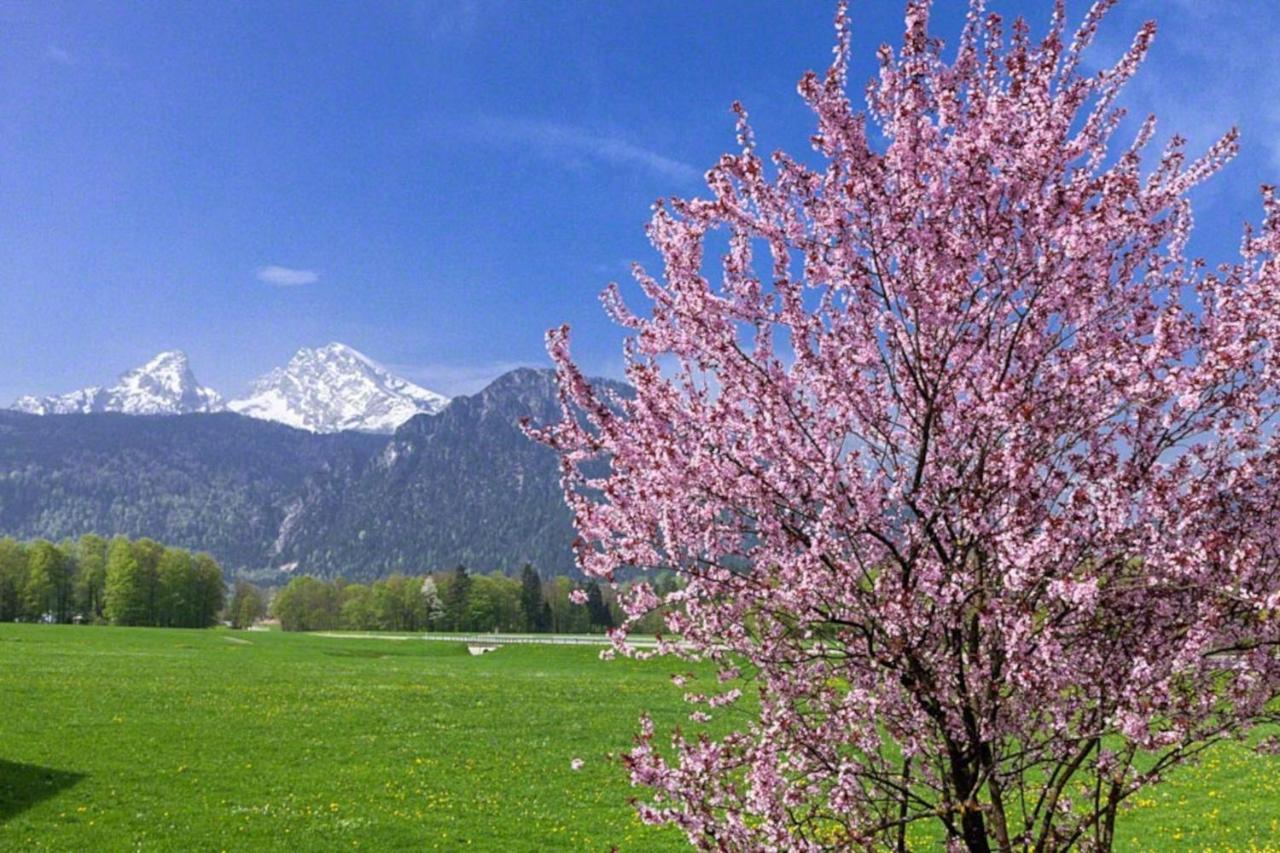 Triembachhof Villa Schönau am Königssee Exteriör bild
