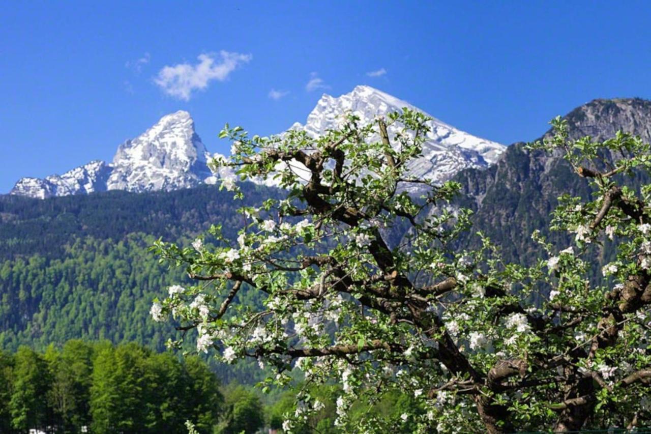 Triembachhof Villa Schönau am Königssee Exteriör bild